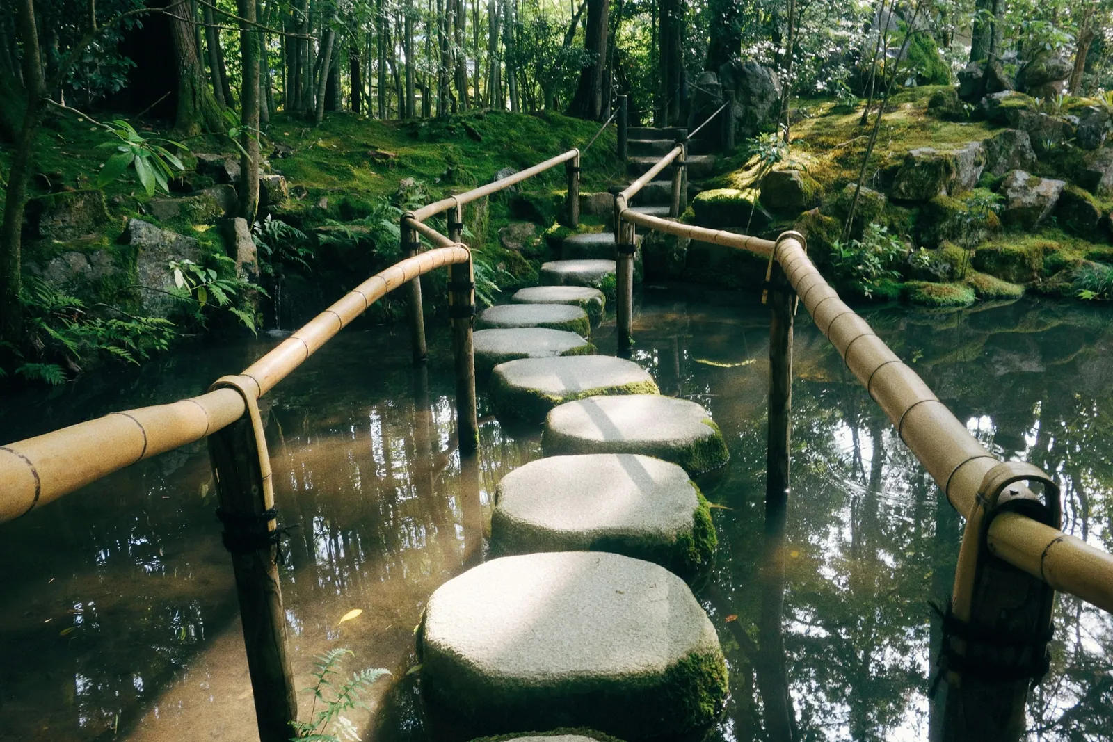 Flat stepping stones set well apart across still water, leading into a mossy green bank